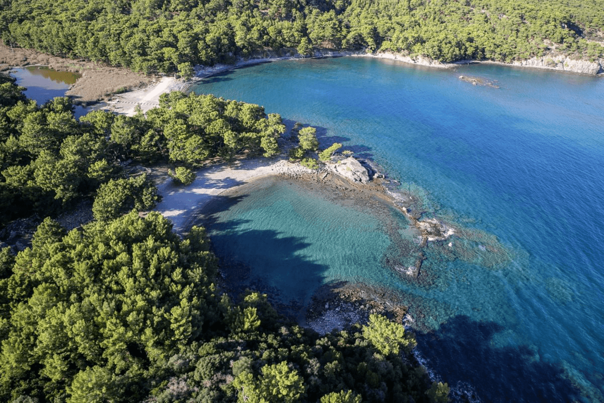 Phaselis