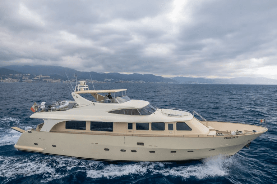 NEWFIELD yacht