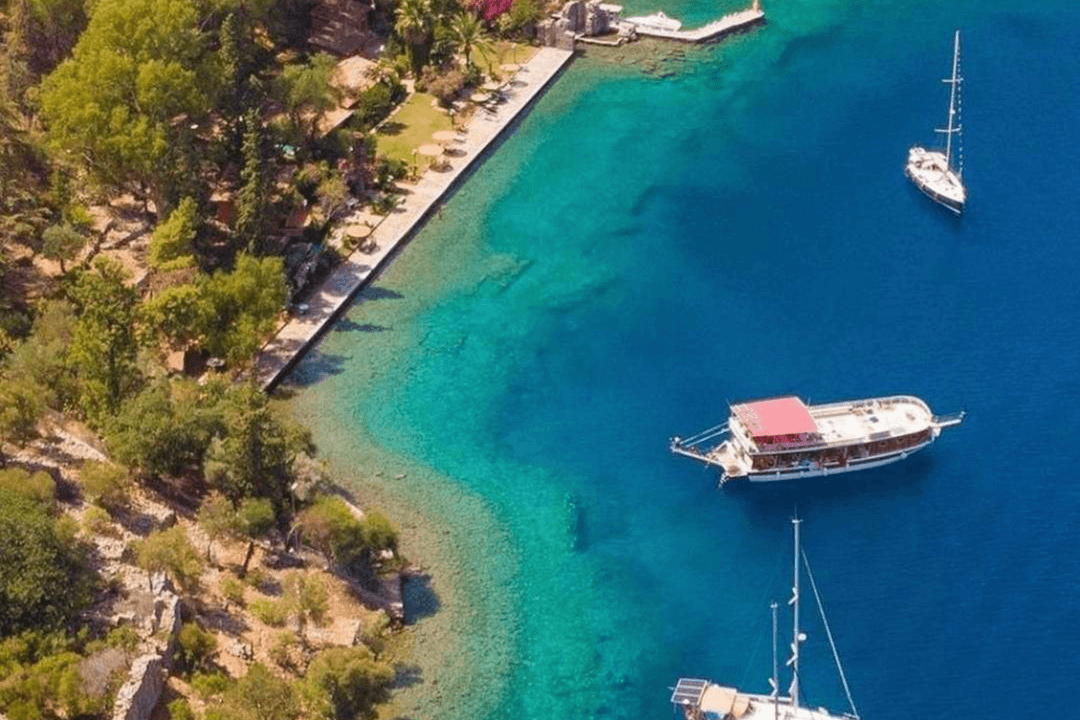 Domuz Island
